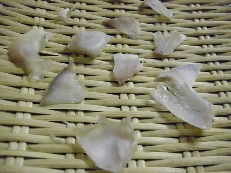 ホシザメのフカヒレ（スープ） の完成画像